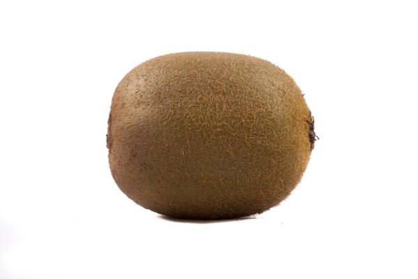 fruit, white background, macro, kiwi, green, kiwi, kiwi, kiwi, kiwi, kiwi