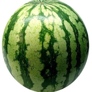 watermelon, melon, fruit, cute, yummy, green, spherical, bullet, meal, food, edible, watermelon, watermelon, watermelon, watermelon, watermelon